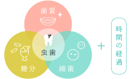 虫歯=歯質+糖分+細菌+時間の経過